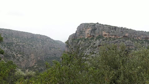 Rocky canyon cliffs with shrubs — Stillmotion