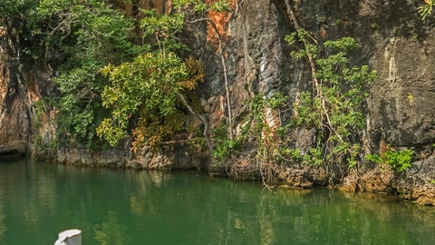 Rope bridge over green lagoon — Stillmotion