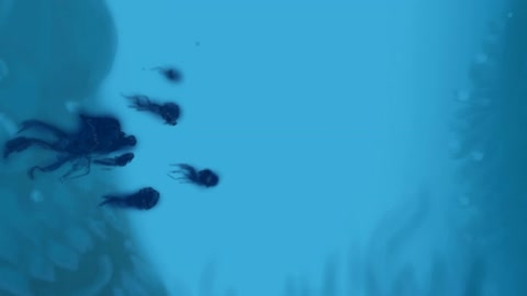 Deep underwater ocean creatures — Stillmotion