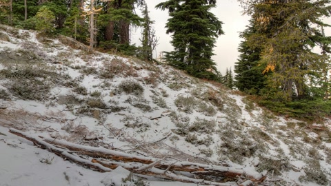 Snowy mountain lake and evergreens — Stillmotion