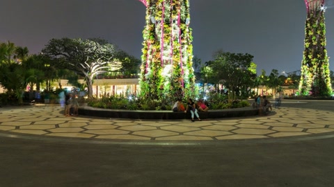 Illuminated garden at night — Stillmotion