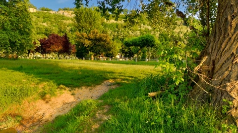 Stone viaduct over calm river — Stillmotion