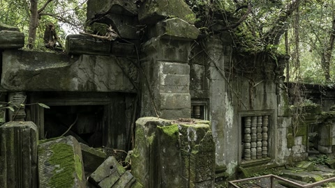Moss-covered forest ruins — Stillmotion
