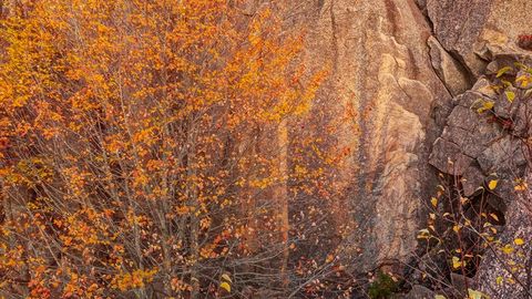 Rocky forest landscape at sunset — Stillmotion