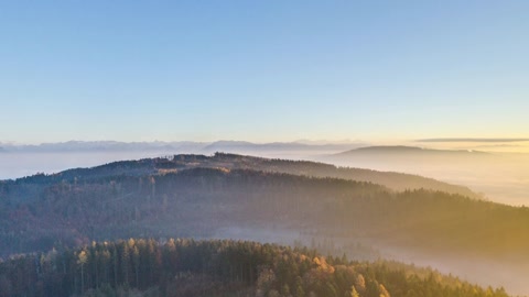 Fog in forested valley — Stillmotion
