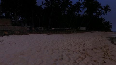 Tropical beach at sunset — Stillmotion