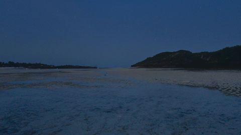 Sandy beach at low tide — Stillmotion