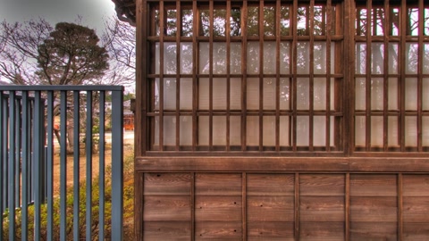 Shrine shelves filled with lucky cat figurines — Stillmotion