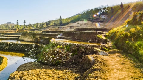 Terraced rice fields on hillside — Stillmotion