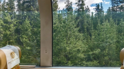 Glass-roof train interior with forest views — Stillmotion