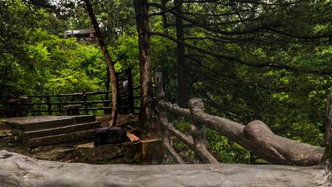 Cloudy rainforest with limestone peaks — Stillmotion