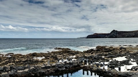 Rocky coastal pools under cloudy skies — Stillmotion