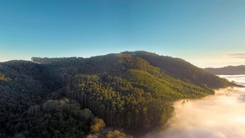 Fog over forested hills — Stillmotion