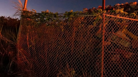 Night fire near roadside fence — Stillmotion