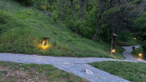 Wooded path with bridges and stream — Stillmotion