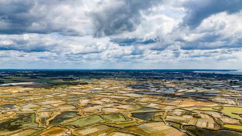 Aerial patchwork farmland and wetlands — Stillmotion