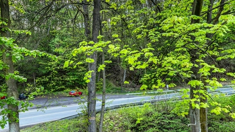 Forest road beside river and hillside town — Stillmotion