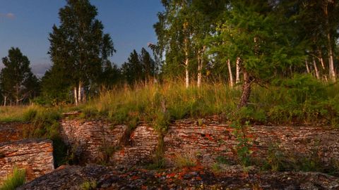 Sunlit forest hills over calm water — Stillmotion