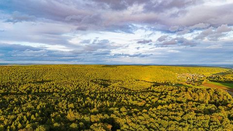 Cultivated field at sunset — Stillmotion