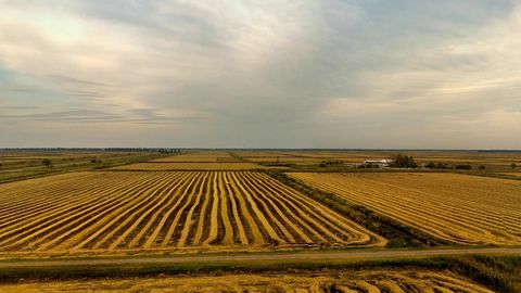 Cultivated fields under cloudy skies — Stillmotion