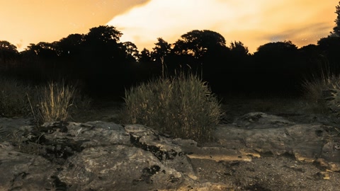 Ruins beside a calm lake — Stillmotion