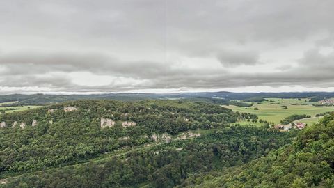 Hilltop castle above forested valley — Stillmotion