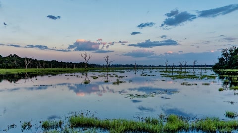 Wooden boardwalk over marsh at sunset — Stillmotion