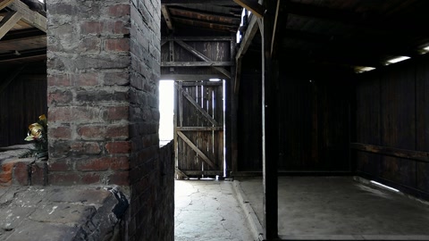 Empty wooden bunk room interior — Stillmotion