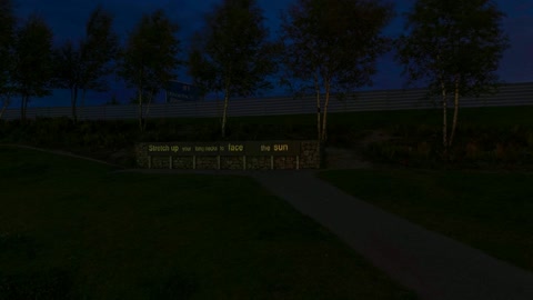 Illuminated horse sculpture at night — Stillmotion