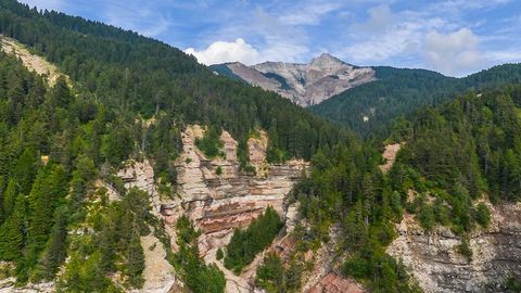 Forest canyon cliffs under blue sky — Stillmotion