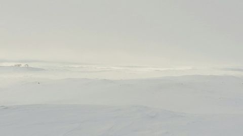 Snowy ice shelf in fog — Stillmotion