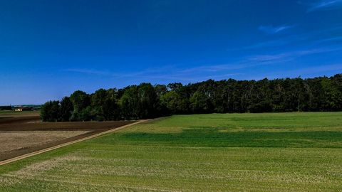 Cultivated fields under clear blue sky — Stillmotion