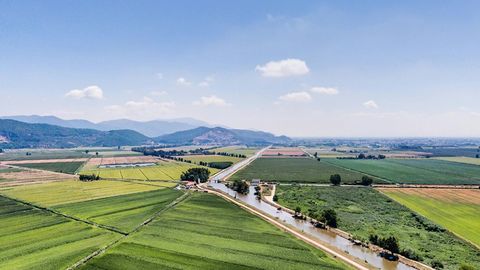 Rural fields beside a large lake — Stillmotion