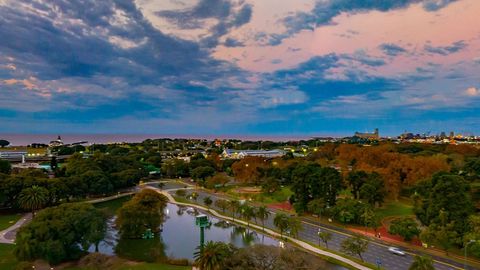 City skyline above park and roads — Stillmotion