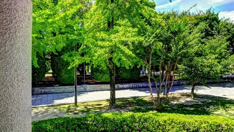 Garden with stone columns and gong — Stillmotion
