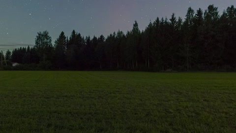 Night field with tree line — Stillmotion