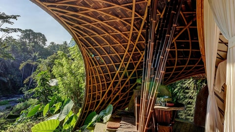 Open-air bamboo bedchamber — Stillmotion