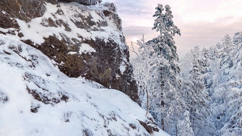 Snowy forest and rocky cliffs — Stillmotion