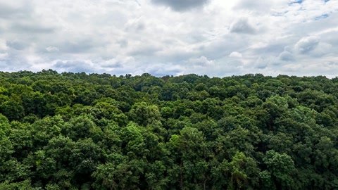 Village on forested cliffs — Stillmotion