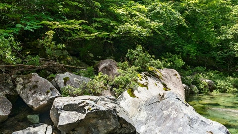 Forest swimming hole with clear water — Stillmotion