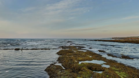 Rocky cliffs above tidal shore — Stillmotion