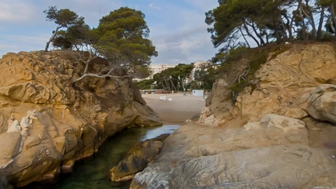Rocky cove with pine trees — Stillmotion