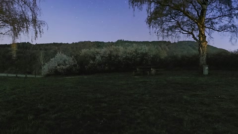 Night vineyard hillside — Stillmotion