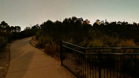 Starry night over canyon overlook — Stillmotion
