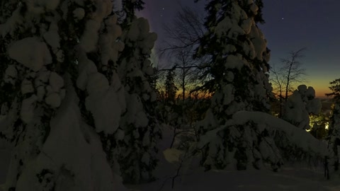 Northern lights over snowy forest — Stillmotion