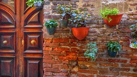 Narrow brick alley with flower pots — Stillmotion