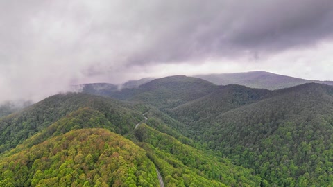 Cloudy rainforest mountains — Stillmotion