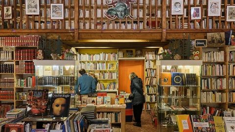 Historic bookstore interior with wooden shelves — Stillmotion