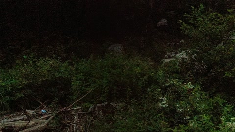 Mountain creek with rocky riverbank — Stillmotion