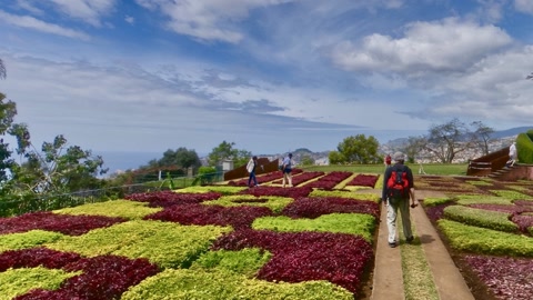Terraced flower garden with patterned beds — Stillmotion